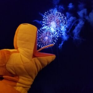 船上で見上げた花火と、隣に並ぶシンバ